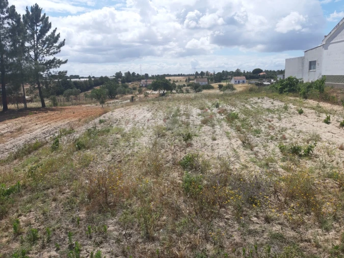 Terreno para Venda em Benavente Foto 2