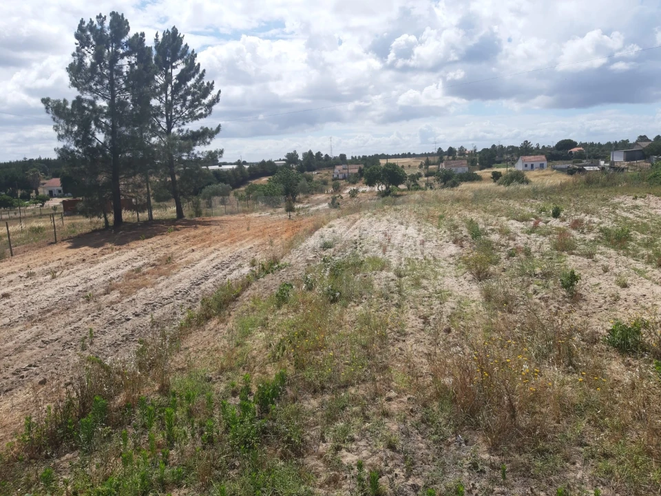 Terreno para Venda em Benavente Foto 3