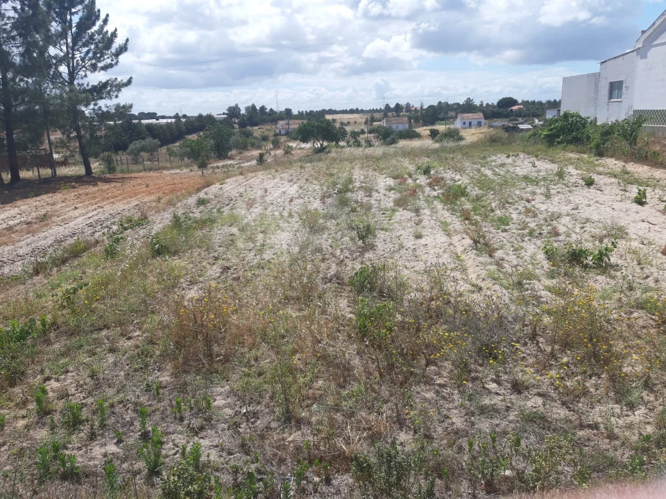Terreno para Venda em Benavente Foto 4