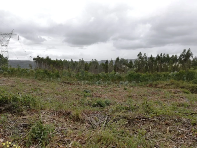 Terreno para Venda em Santo Quintino Foto 4