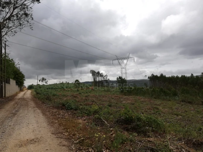 Terreno para Venda em Santo Quintino Foto 1