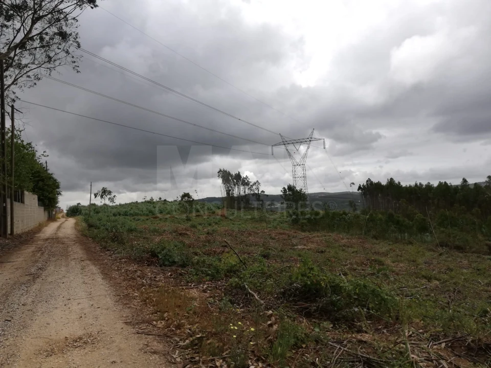 Terreno para Venda em Santo Quintino Foto 1