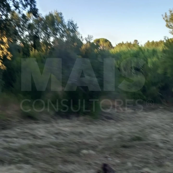 Terreno para Venda em Olaia e Paço Foto 1