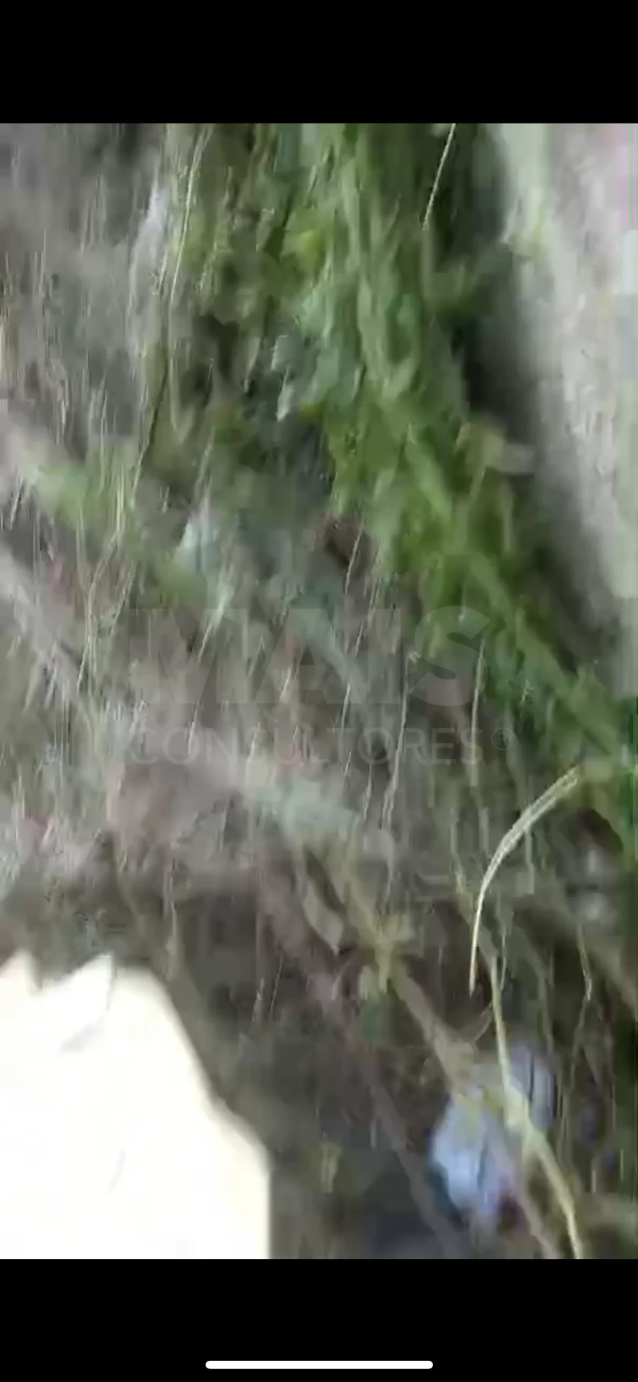 Terreno para Venda em Olaia e Paço Foto 2