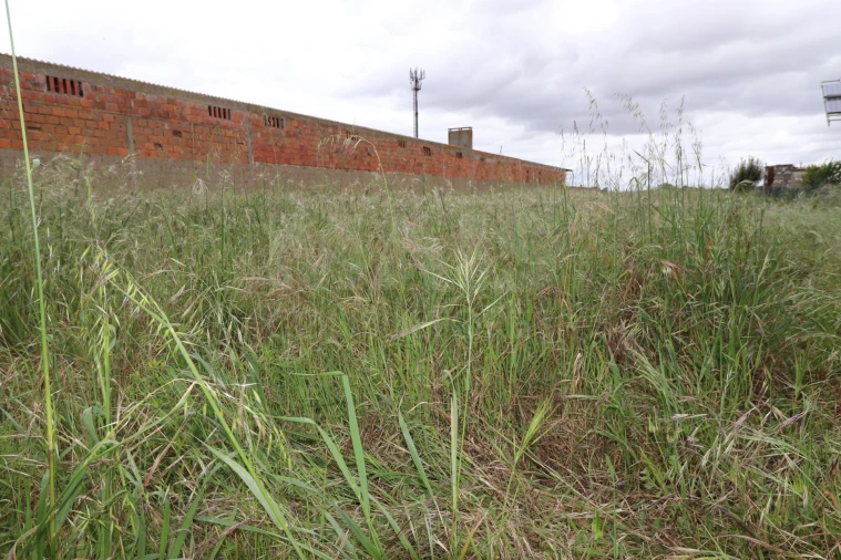 Terreno para Venda em Marinhais Foto 1