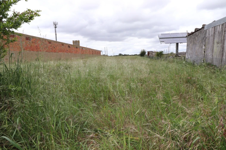 Terreno para Venda em Marinhais Foto 5