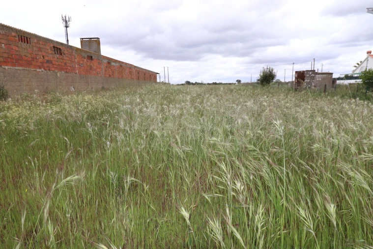 Terreno para Venda em Marinhais Foto 6