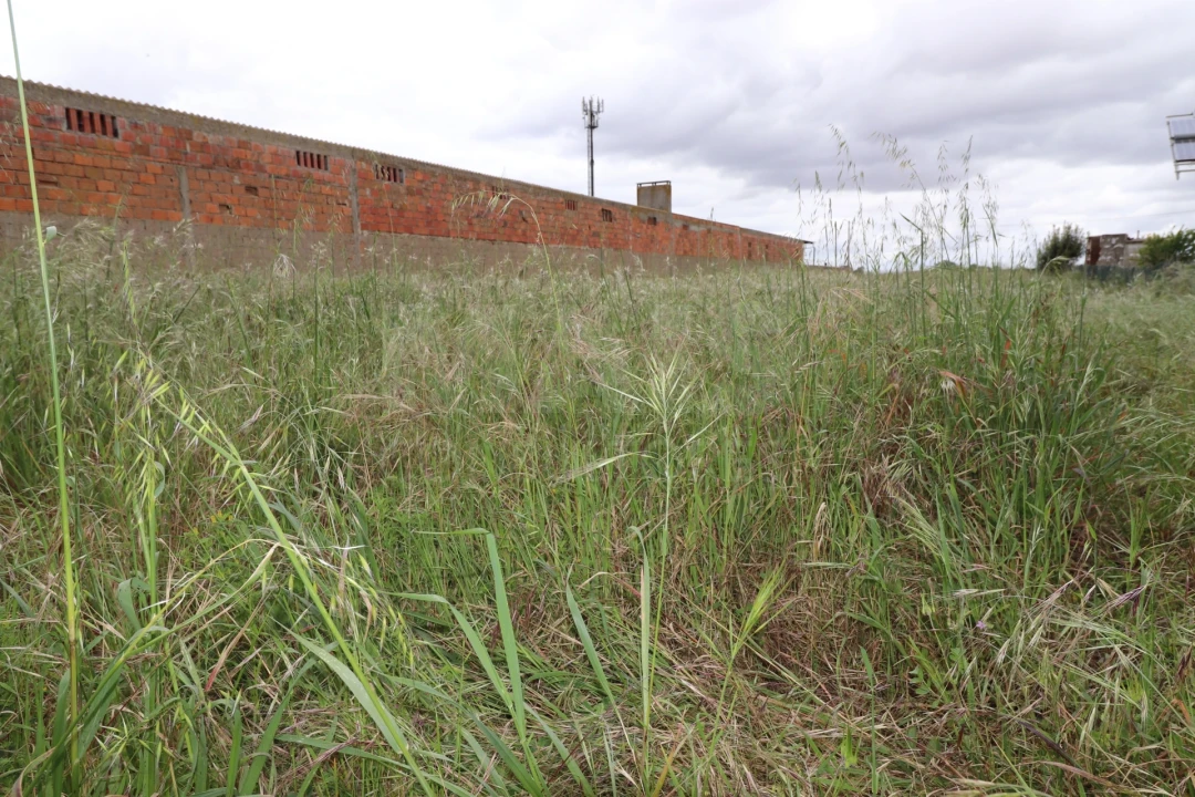 Terreno para Venda em Marinhais Foto 1