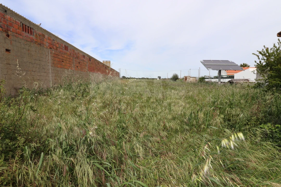 Terreno para Venda em Marinhais Foto 2