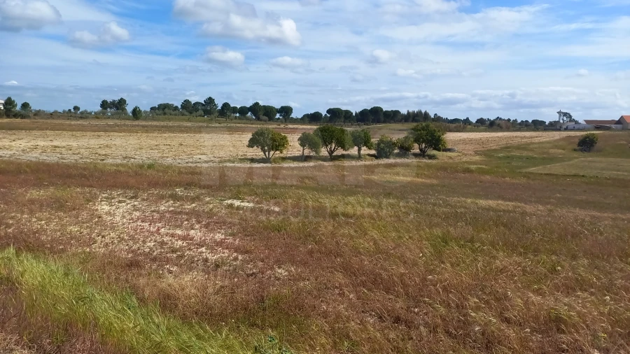 Terreno para Venda em Branca Foto 3