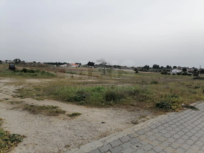 Terreno para Venda em Branca Foto 8