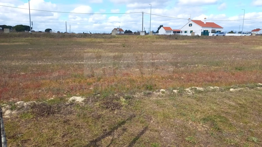 Terreno para Venda em Branca Foto 6