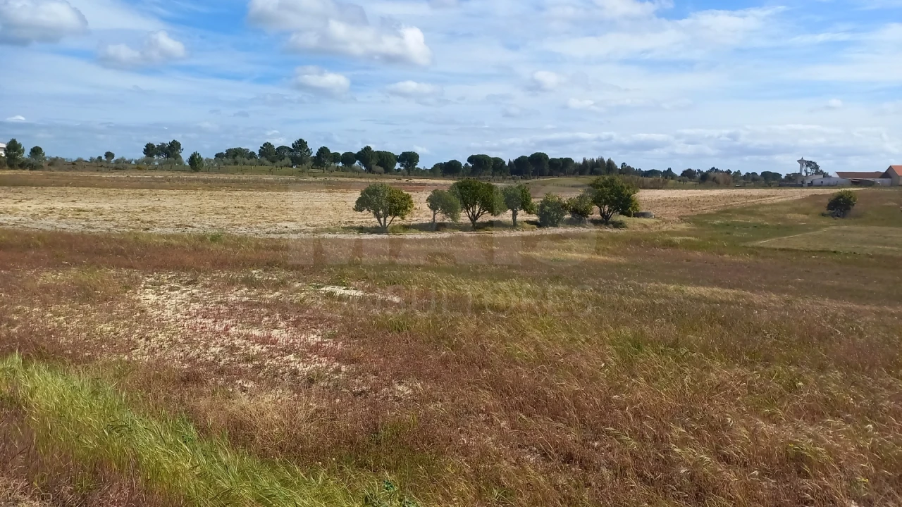 Terreno para Venda em Branca Foto 3