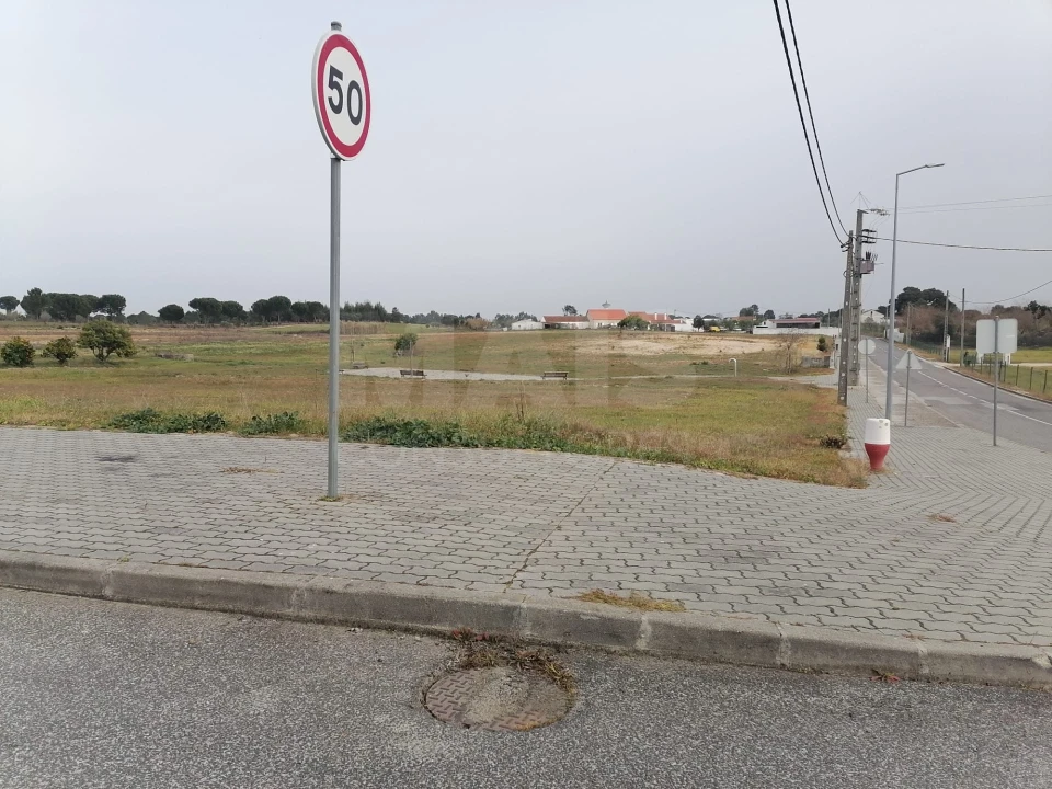 Terreno para Venda em Branca Foto 10