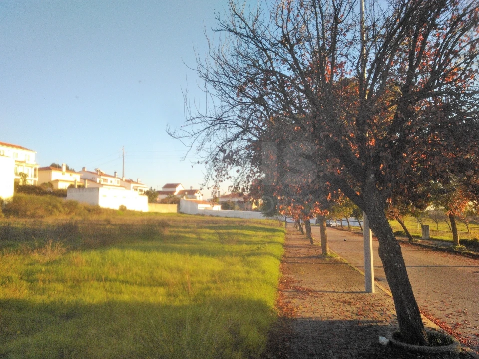 Terreno para Venda em Torres Novas (Santa Maria, Salvador e Santiago) Foto 4