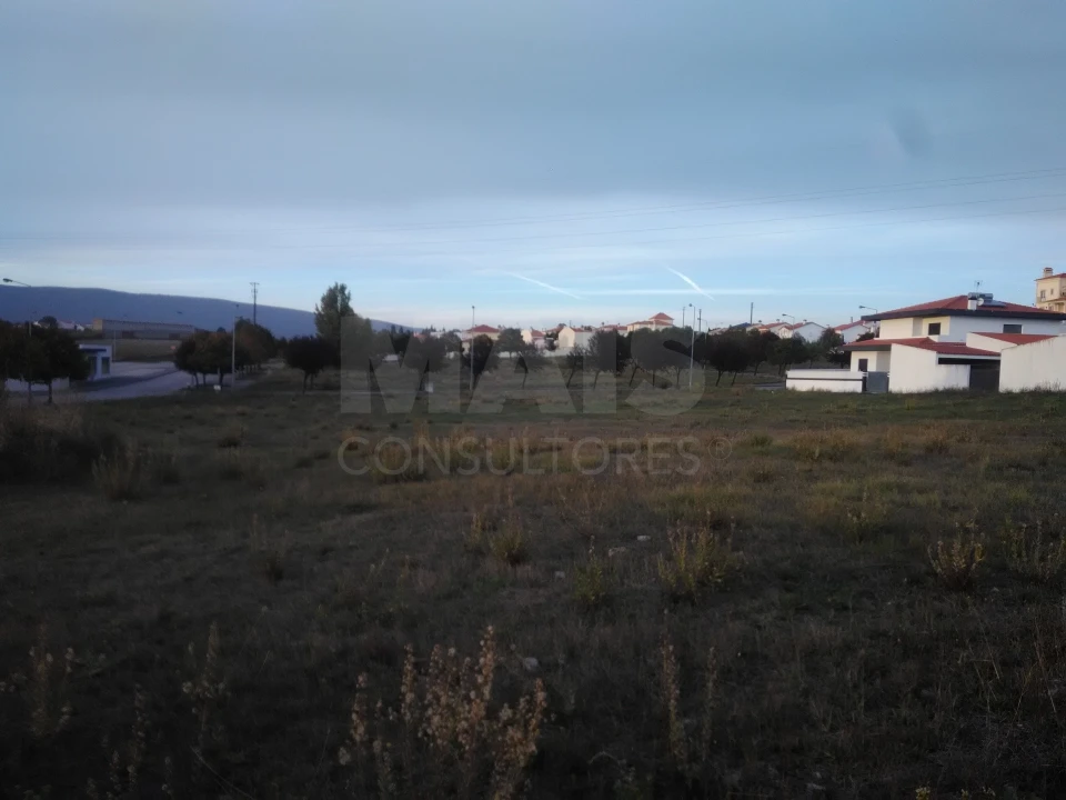 Terreno para Venda em Torres Novas (Santa Maria, Salvador e Santiago) Foto 2