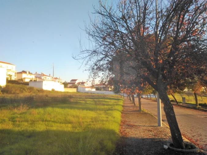 Terreno para Venda em Torres Novas (Santa Maria, Salvador e Santiago) Foto 3