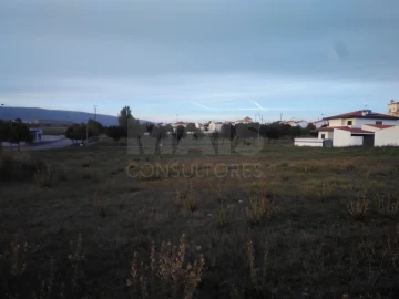 Terreno para Venda em Torres Novas (Santa Maria, Salvador e Santiago)
