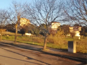 Terreno para Venda em Torres Novas (Santa Maria, Salvador e Santiago)