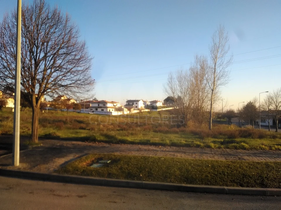 Terreno para Venda em Torres Novas (Santa Maria, Salvador e Santiago) Foto 4