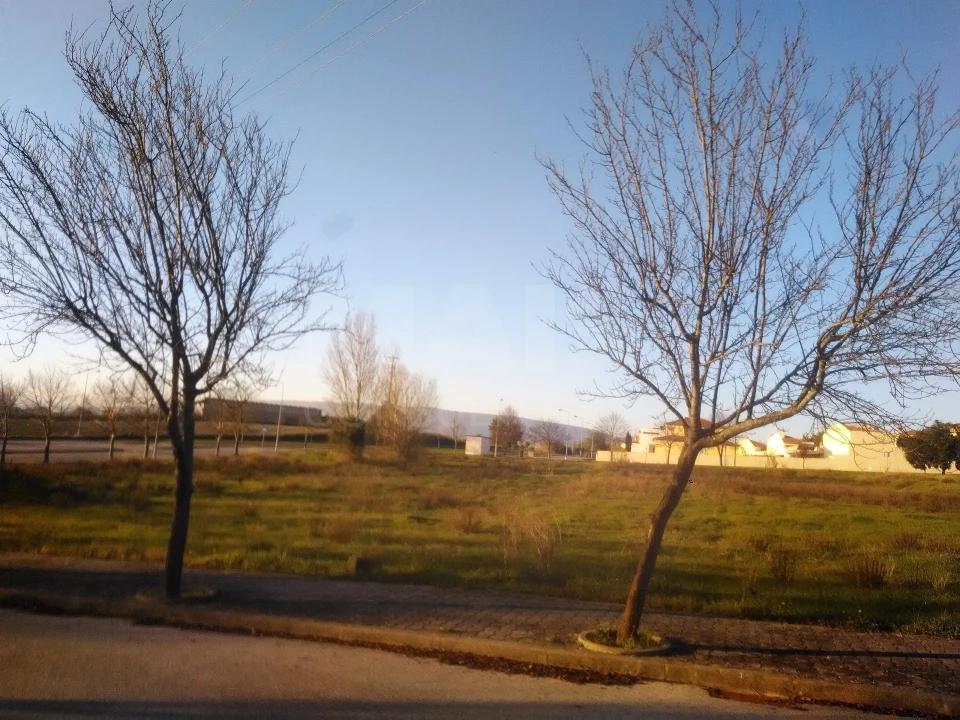 Terreno para Venda em Torres Novas (Santa Maria, Salvador e Santiago) Foto 2