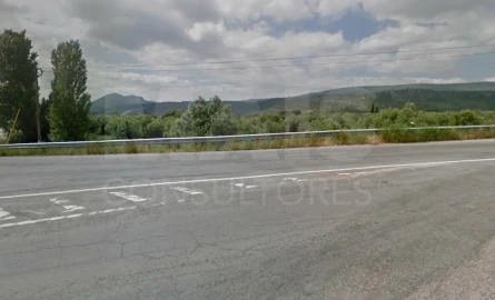 Terreno para Venda em Zibreira