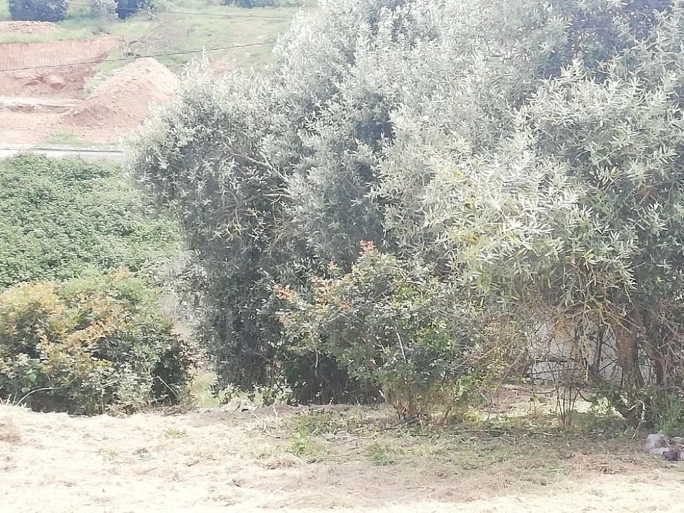 Terreno para Venda em Vila Franca de Xira Foto 1