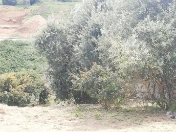 Terreno para Venda em Vila Franca de Xira