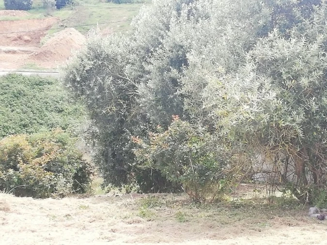 Terreno para Venda em Vila Franca de Xira