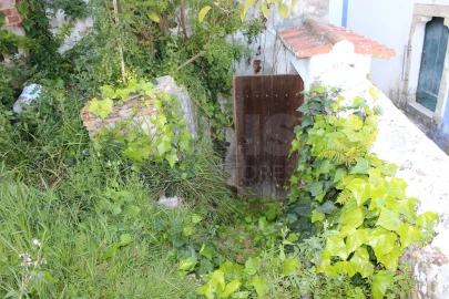Terreno para Venda em Santa Maria, São Pedro e Sobral da Lagoa