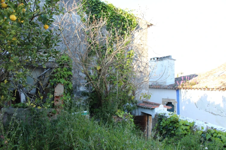 Terreno para Venda em Santa Maria, São Pedro e Sobral da Lagoa Foto 10