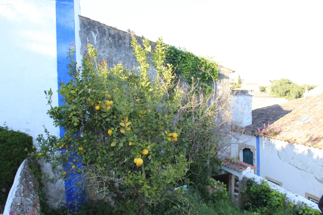 Terreno para Venda em Santa Maria, São Pedro e Sobral da Lagoa Foto 12