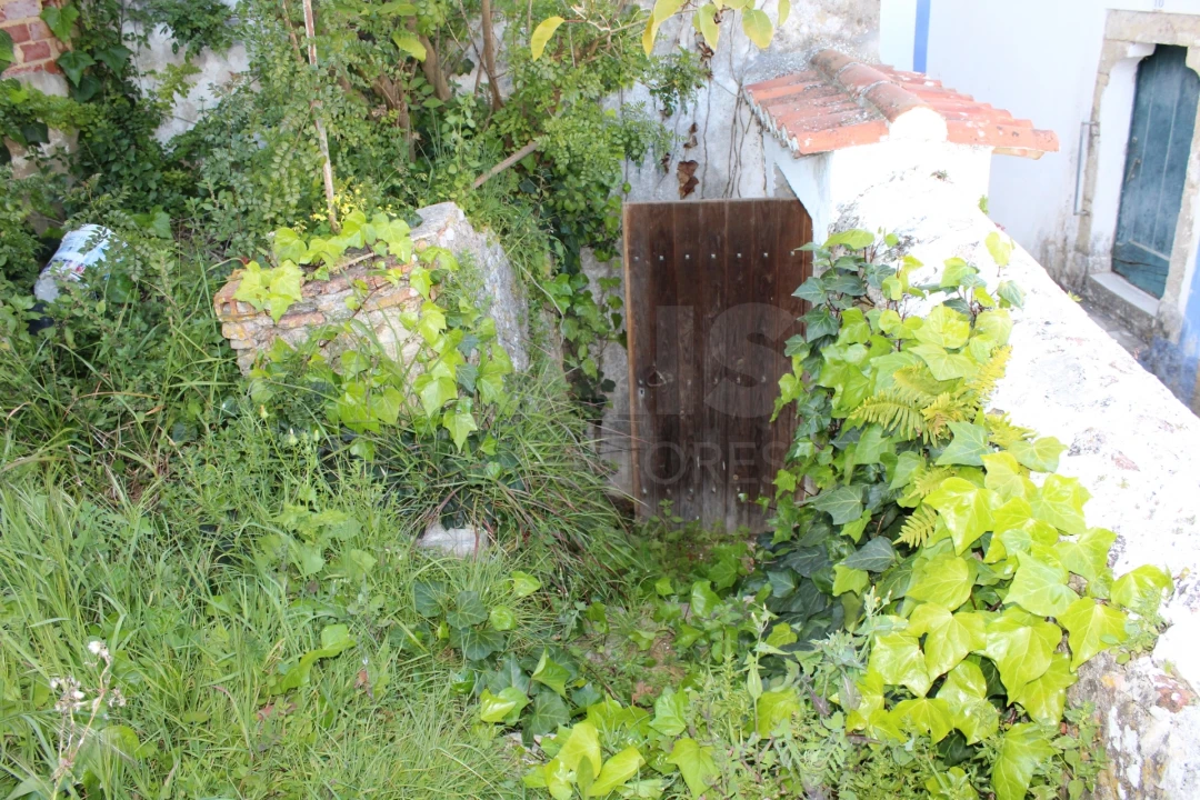 Terreno para Venda em Santa Maria, São Pedro e Sobral da Lagoa Foto 9