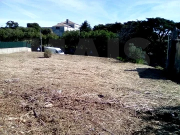 Terreno para Venda em Santa Maria e São Miguel, São Martinho, São Pedro Penaferrim
