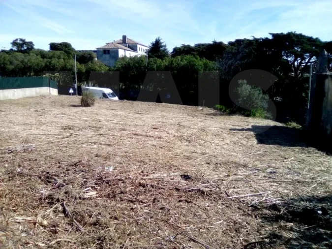 Terreno para Venda em Santa Maria e São Miguel, São Martinho, São Pedro Penaferrim Foto 11