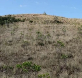Terreno para Venda em Venda do Pinheiro e Santo Estêvão das Galés