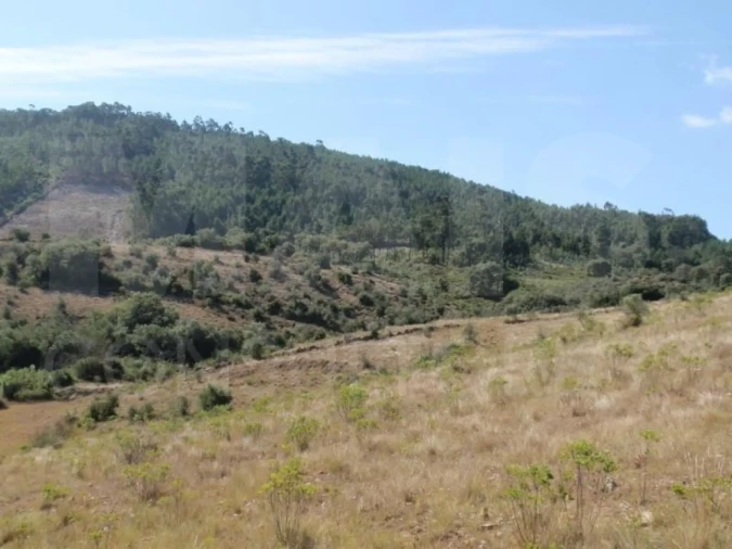 Terreno para Venda em Venda do Pinheiro e Santo Estêvão das Galés Foto 1