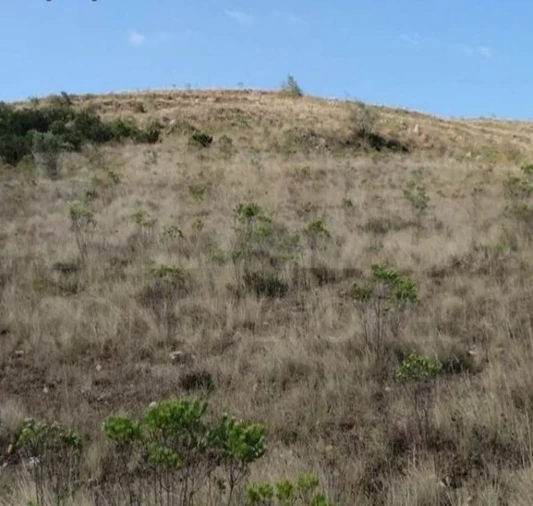 Terreno para Venda em Venda do Pinheiro e Santo Estêvão das Galés Foto 2