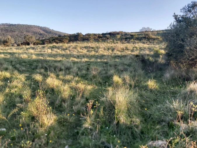 Terreno para Venda em Venda do Pinheiro e Santo Estêvão das Galés Foto 3