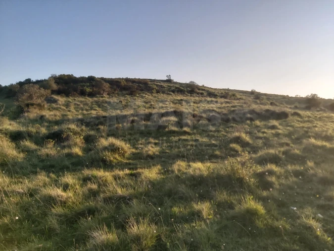 Terreno para Venda em Venda do Pinheiro e Santo Estêvão das Galés Foto 4