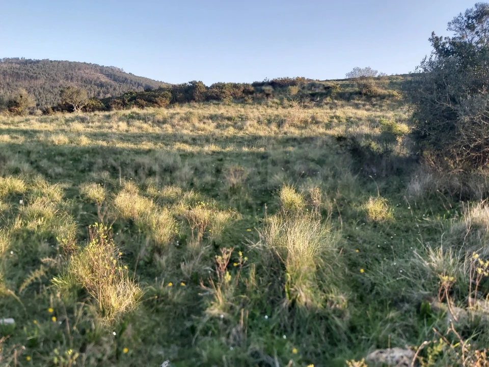 Terreno para Venda em Venda do Pinheiro e Santo Estêvão das Galés Foto 3