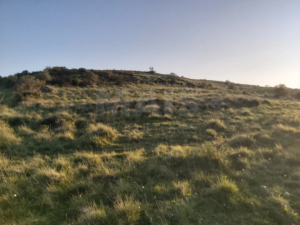 Terreno para Venda em Venda do Pinheiro e Santo Estêvão das Galés Foto 1