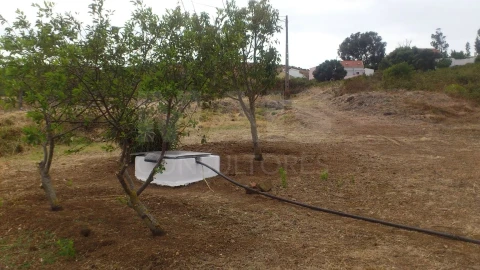 Terreno para Venda em Santo Antão e São Julião do Tojal
