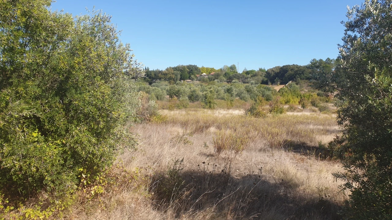 Terreno para Venda em Olaia e Paço Foto 3