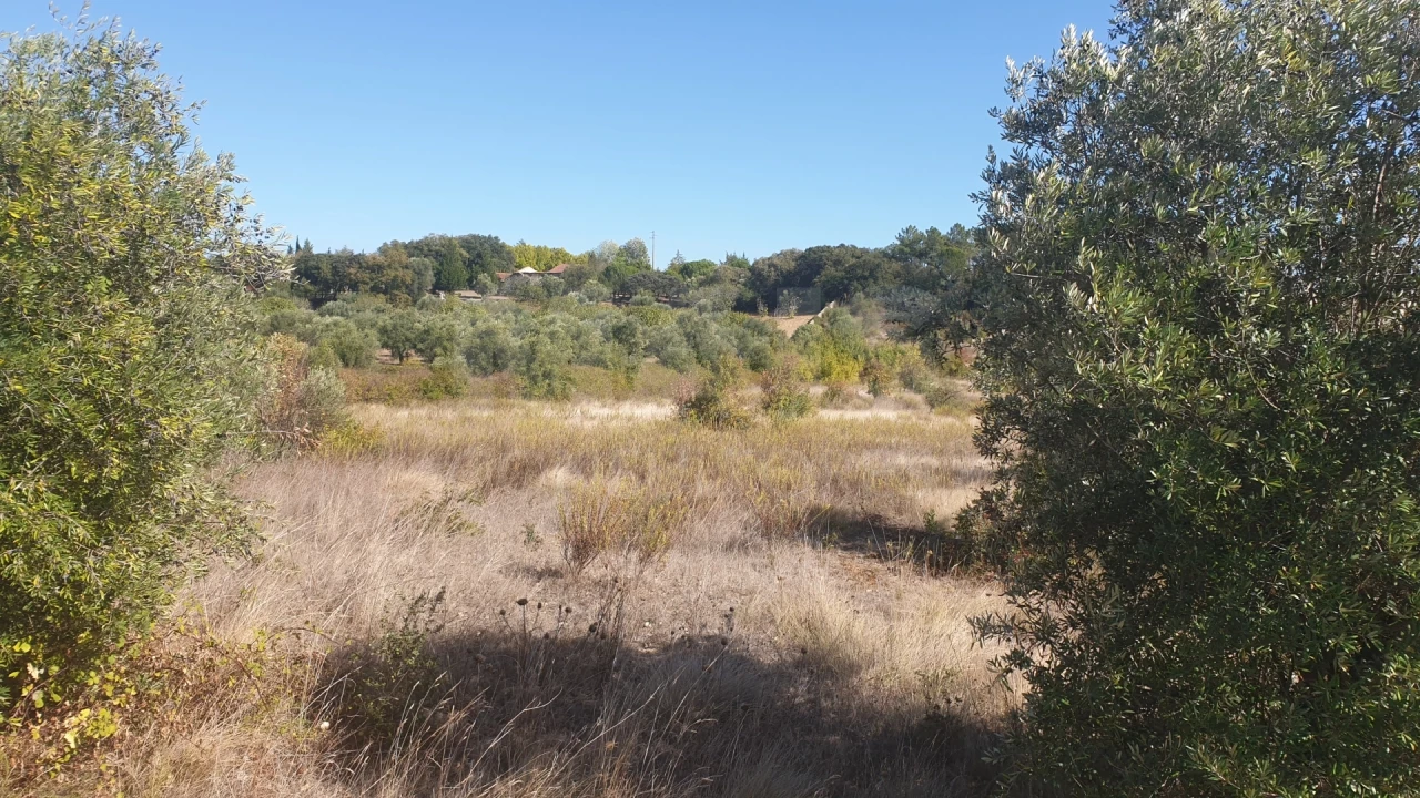 Terreno para Venda em Olaia e Paço Foto 4