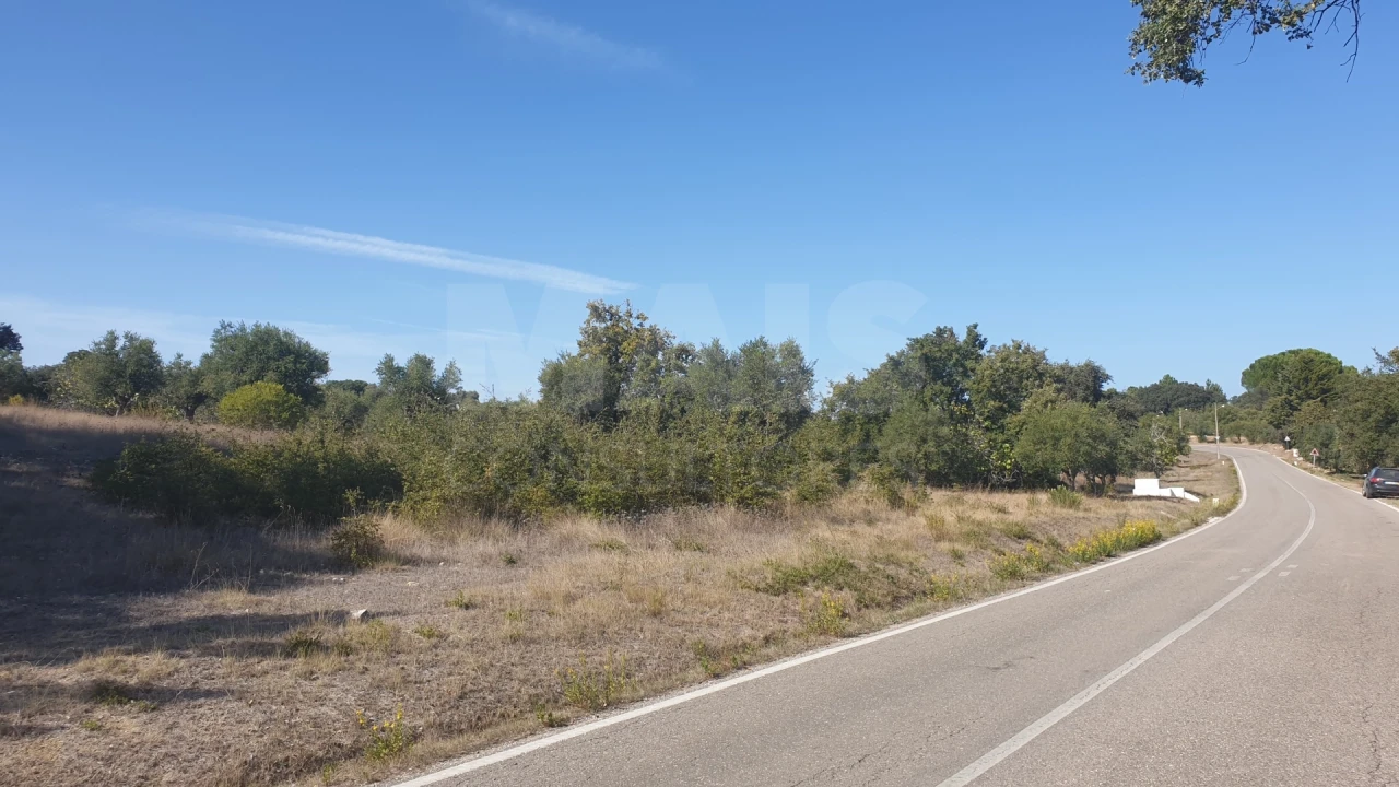 Terreno para Venda em Olaia e Paço Foto 1
