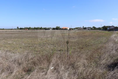 Terreno para Venda em Benavente