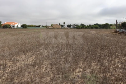 Terreno para Venda em Benavente