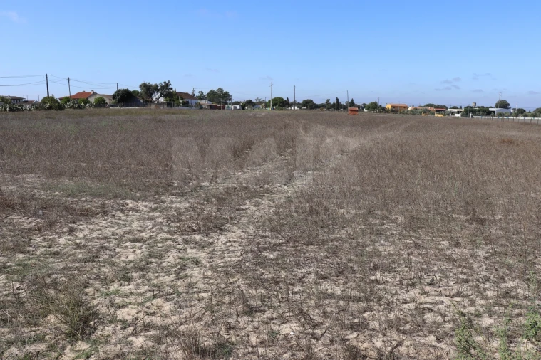 Terreno para Venda em Benavente Foto 6