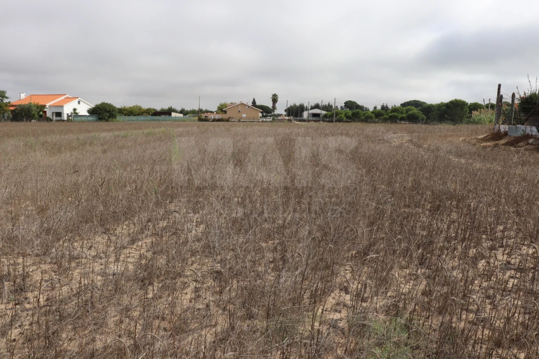Terreno para Venda em Benavente Foto 2